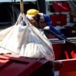Sludge Removal