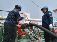 WhatsApp-Image-2024-07-25-at-13.33.42